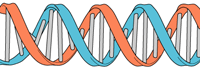 dna