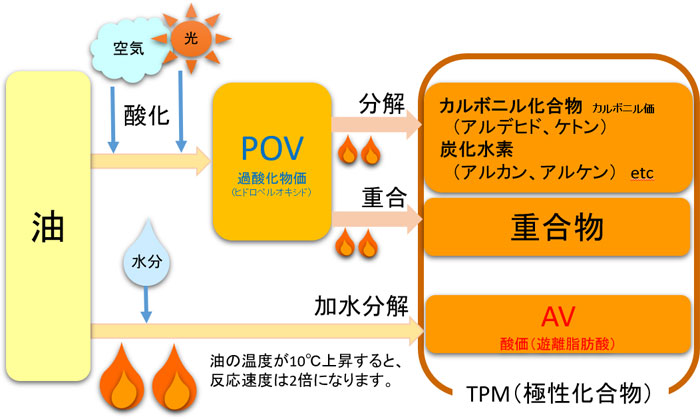 油脂 の 酸敗